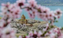 Van’a bahar geliyor: Meteoroloji tarih verdi!