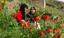 Van’da bu çiçeği koparan yandı: Cezası 700 bin TL!