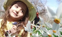 Doğaseverlerden Van’da yetişen endemik Zerrinkadeh Çiçeği için koruma çağrısı!