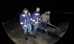 Van'da suyu azalan kanaldaki 2 ton inci kefali kurtarıldı