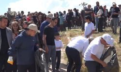 Erciş'te Dünya Çevre Günü etkinlikleri devam ediyor