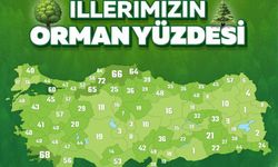 Van, Türkiye’de en az yeşile sahip 4’üncü ili oldu!