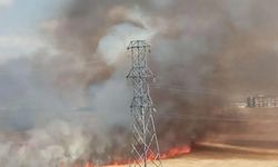 Van’da buğday tarlasında büyük yangın