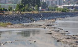 Van Gölü’nün Tatvan kıyılarındaki kirlilik ciddi boyuta ulaştı