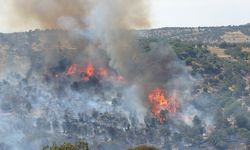 Ciğerlerimiz yanıyor… 8 ilde çıkan orman yangınlarında son durum: 7 kişi gözaltına alındı!