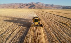Van'da çiftçiler hasattan umutlu: Hububat üretiminde yüzde 75 artış bekleniyor
