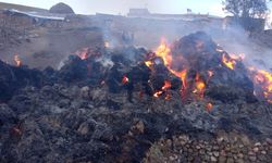 Saray'da 8 bin bağ ot yandı