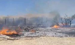 Van’da büyük yangın: 5 hektarlık alan küle döndü!