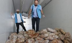 Van’dan Diyarbakır’a 5 tonluk kaçak et sevkiyatı!