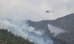 Hatay’da orman yangınına sebebiyet veren 4 kişi yakalandı