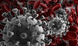 Araştırma: Virüs gibi yayılan kanser keşfedildi