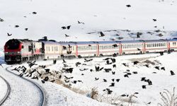 Van, ‘altın bilet’i kullanamıyor!