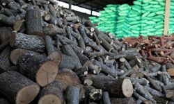 Van’da odun ve kömür fiyatları belli oldu! İşte güncel kömür ve odun fiyatları