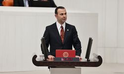 Vanspor eski başkanı İzsiz, Bakan'dan Van’a stat istedi!