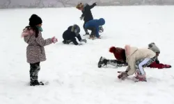 Hakkari'de eğitime kar engeli: Okullar tatil edildi!