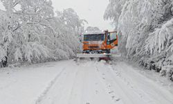 Van’da kar yağışı ulaşımda aksamalara neden oldu! 655 köy yolu kapandı