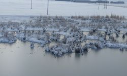 Van buz tuttu: Göl dondu, ağaçlar kırağı tuttu!