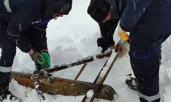 VEDAŞ ekiplerinin zorlu kış şartlarında bakım onarım çalışması!