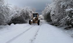 Van’da ulaşıma kar engeli
