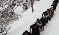 Van’da besicilerin zorlu kış şartlarıyla mücadelesi!