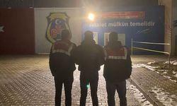 Jandarma Van’da hırsız ve dolandırıcılara göz açtırmıyor: 8 kişi tutuklandı!
