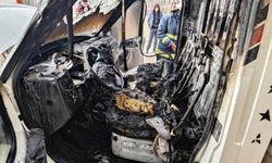 Van’da park halindeki kamyonet alev alev yandı