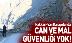 Hakkari-Van Karayolunda can ve mal güvenliği yok!