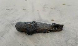 İkinci Dünya Savaşı bombası sahile vurdu