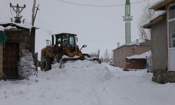 Gürpınar Belediyesi karla mücadele çalışmalarına devam ediyor