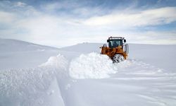 Van, Muş ve Bitlis'te kar nedeniyle 29 yerleşim birimine ulaşım sağlanamıyor