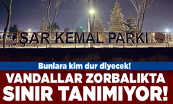 Vandallar zorbalıkta sınır tanımıyor!