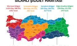 Van’da kaç silahlı olay yaşandı? Türkiye’nin silahlı şiddet haritası belli oldu!