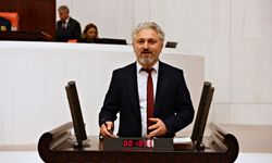 DEM Parti'nin İstanbul adayı Murat Çepni kimdir?