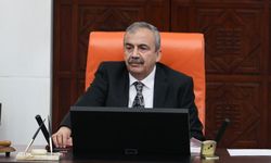 İzmir'den aday gösterileceği iddia edilmişti: Sırrı Süreyya Önder'den açıklama