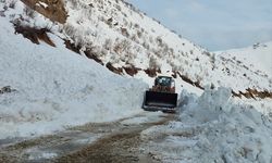 Hakkari’de yola düşen çığ temizlendi!