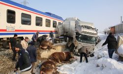 Yolcu treniyle büyükbaş hayvan yüklü TIR çarpıştı: 2 ölü, 2 yaralı, çok sayıda hayvan telef oldu!