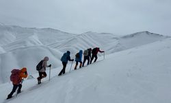 Vanlı dağcılar 2 bin 781 rakımlı dağa tırmandı