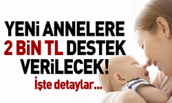 Van'da yeni anne olacaklara müjde: 2 bin TL destek verilecek!