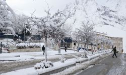 Van’da kar yağışı etkisini sürdürüyor!