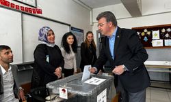 AK Parti Van milletvekili Kayhan Türkmenoğlu oyunu kullandı!