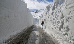 Van-Bahçesaray yolunda metrelerce karla mücadele başlatıldı