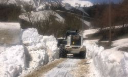 Hakkari’de kar nedeniyle kapalı olan yollarda çalışmalar devam ediyor