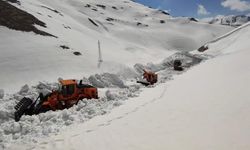 Van-Bahçesaray karayolunda 5 metrelik kar ile mücadele!