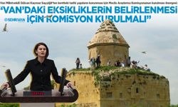 Van Milletvekili Gülcan Sayyiğit'ten kentteki tarihi yapıların korunması için önerge!