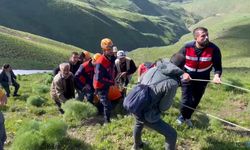 Van'da ekipler, ot toplarken kayalıktan düşerek yaralanan kişi için seferber oldu