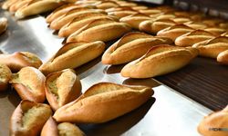 Günlük israf edilen ekmeğin 8 milyonu önlendi!