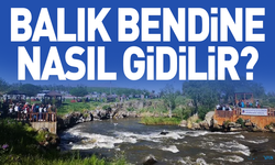 Erciş Balık Bendine nasıl gidilir? İşte detaylar...