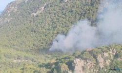 Antalya’da orman yangını!