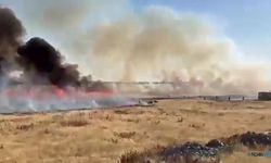 250 dönüm arazi yanarak küle döndü