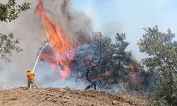 Adana'da ormanlık alanda yangın çıktı